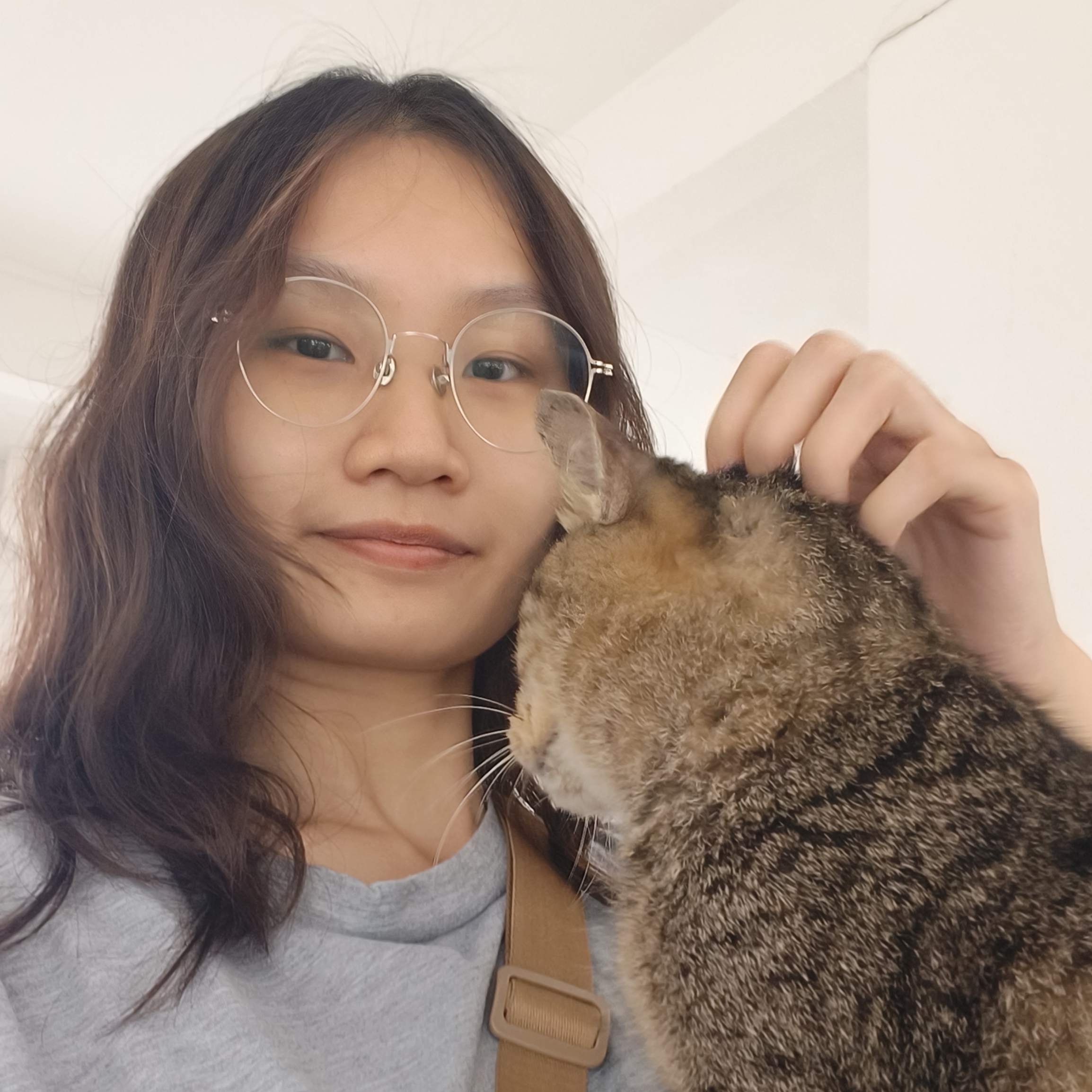 Xin Hui